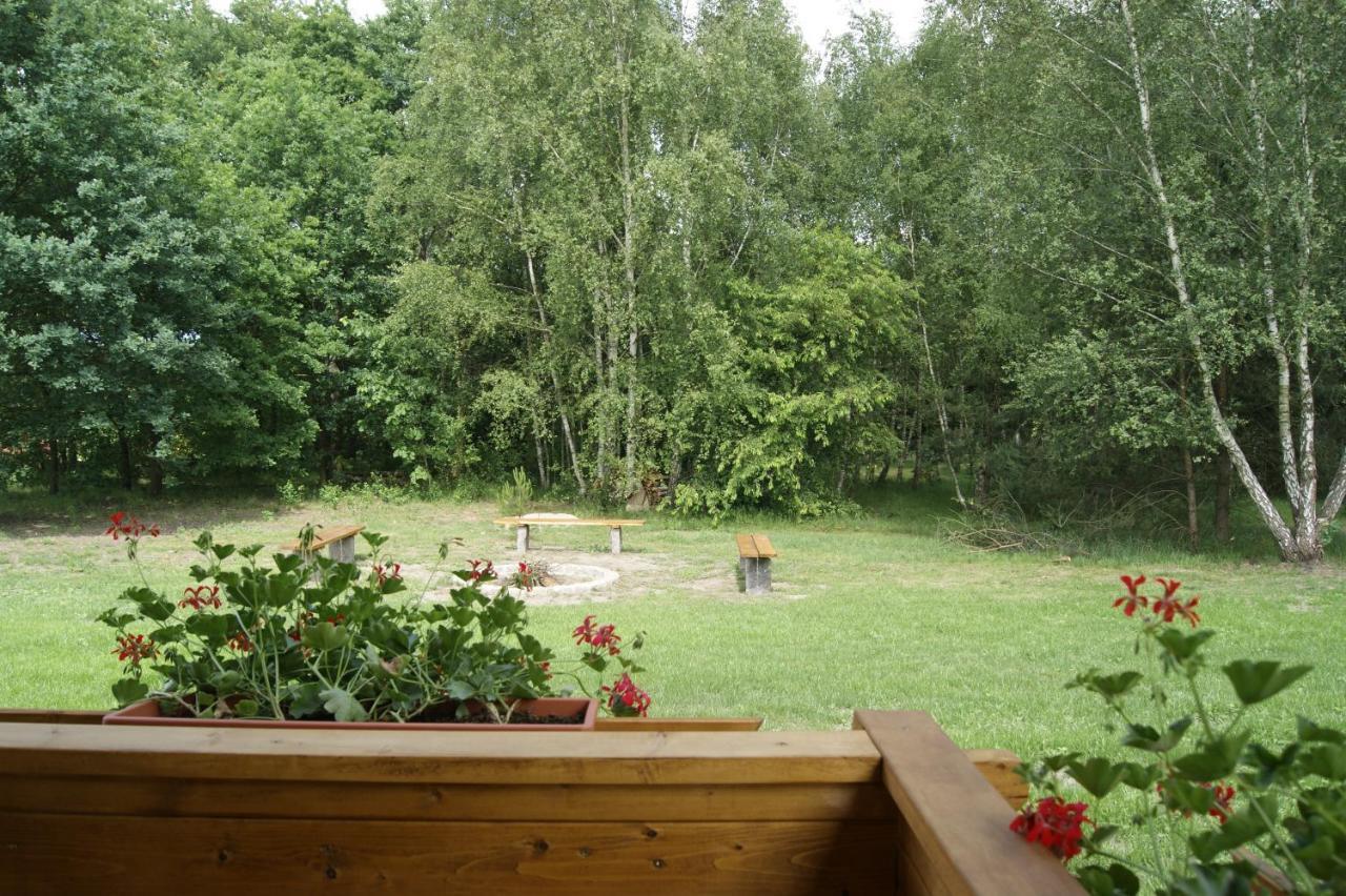 Camping Family Bronowice  المظهر الخارجي الصورة