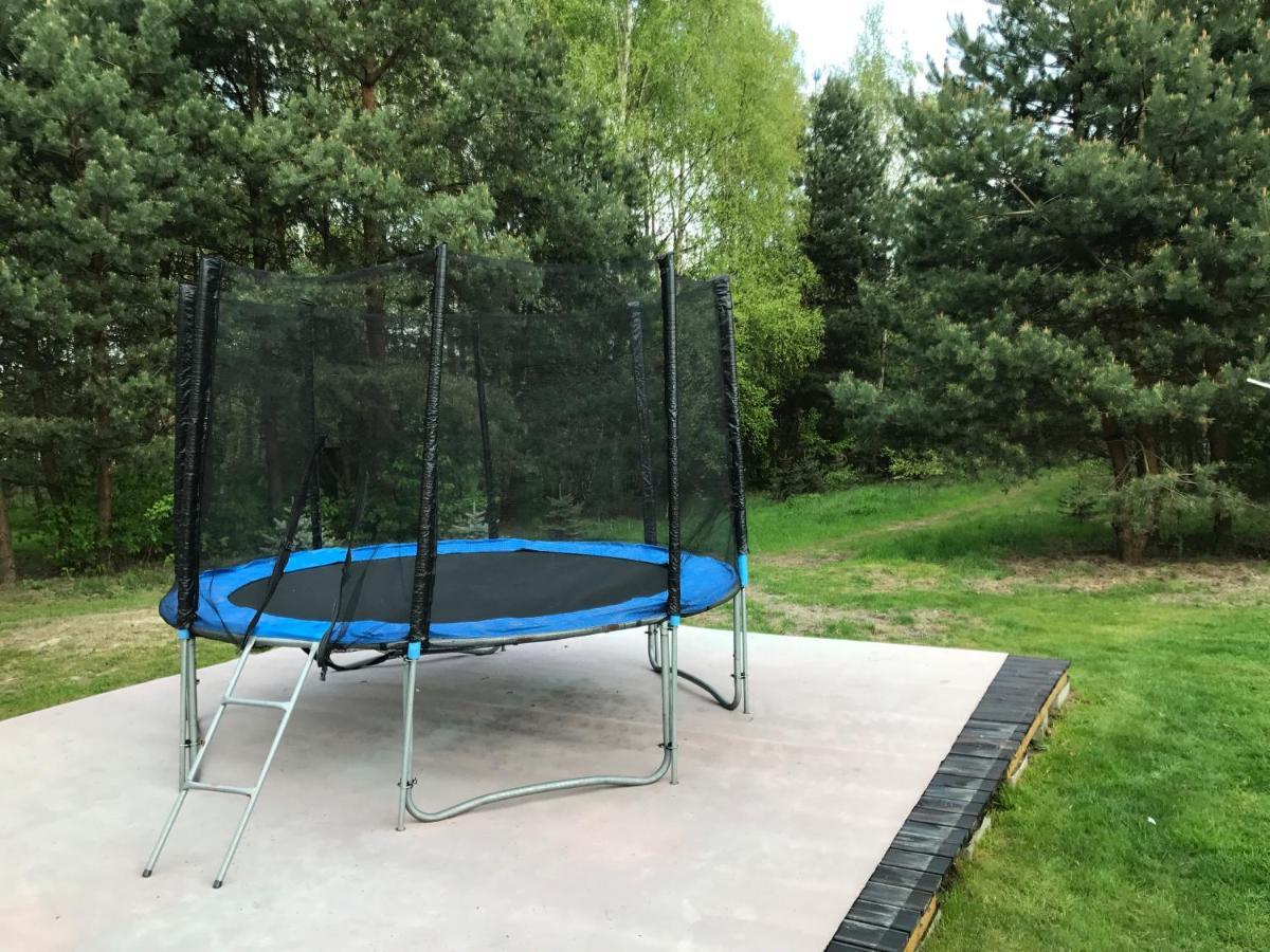 Camping Family Bronowice  المظهر الخارجي الصورة