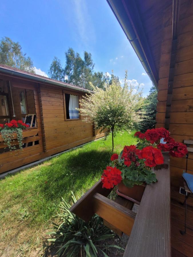 Camping Family Bronowice  المظهر الخارجي الصورة